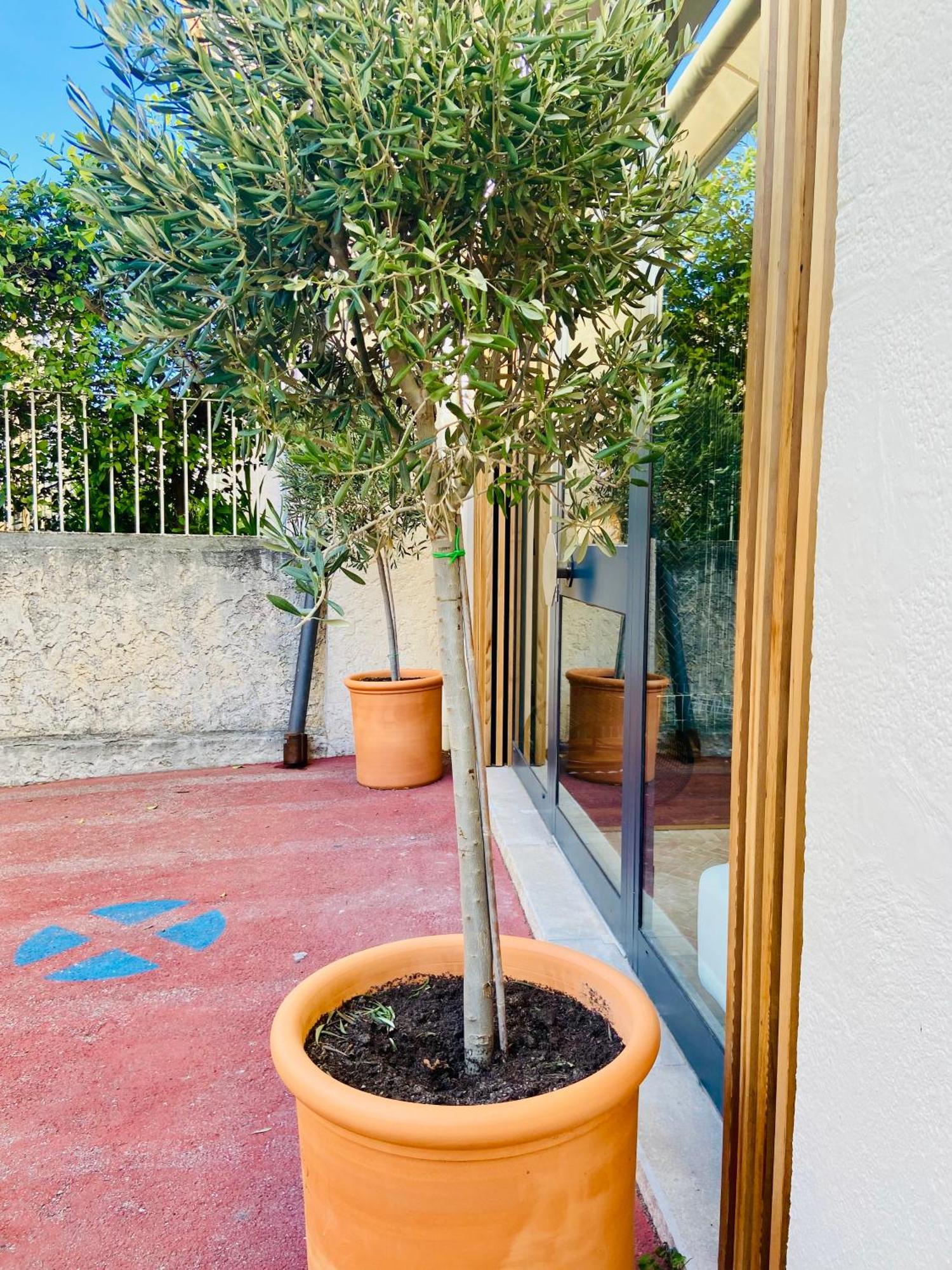 Cassis Grande Terrasse Emplacement Au Top A 1 Minute De La Plage A Pieds ภายนอก รูปภาพ